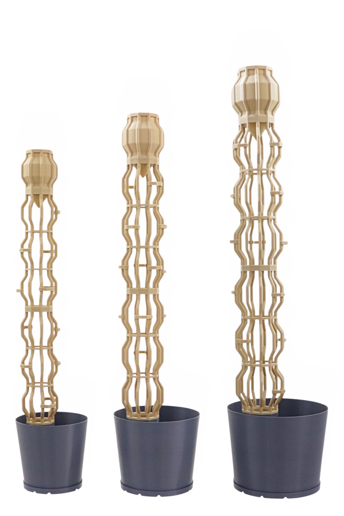 Moss Pole Set PLUS